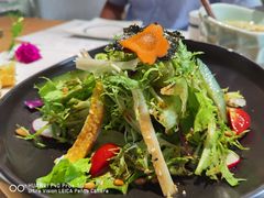 田园时疏沙拉-千叶寿司创意融合料理(水韵城店)