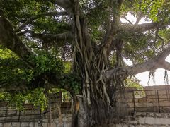 -胡里山炮台
