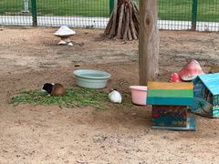 -三亚海棠湾万丽度假酒店