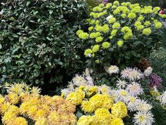 -杭州植物园