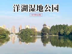 -洋湖国家湿地公园
