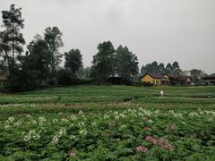 -保利石象湖景区
