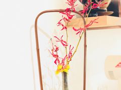-茶是一枝花泡茶店