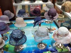 -马聚源(前门总店)