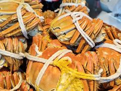 -蟹村草堂·苏式园林人文农家·大闸蟹