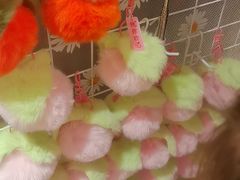 -中国徽菜·徽商故里(广安门店)