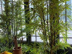 -洞庭土菜馆(天河北总店)