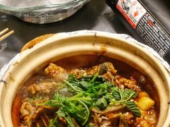 啫啫甲鱼煲-金龙·打边炉(南京西路店)