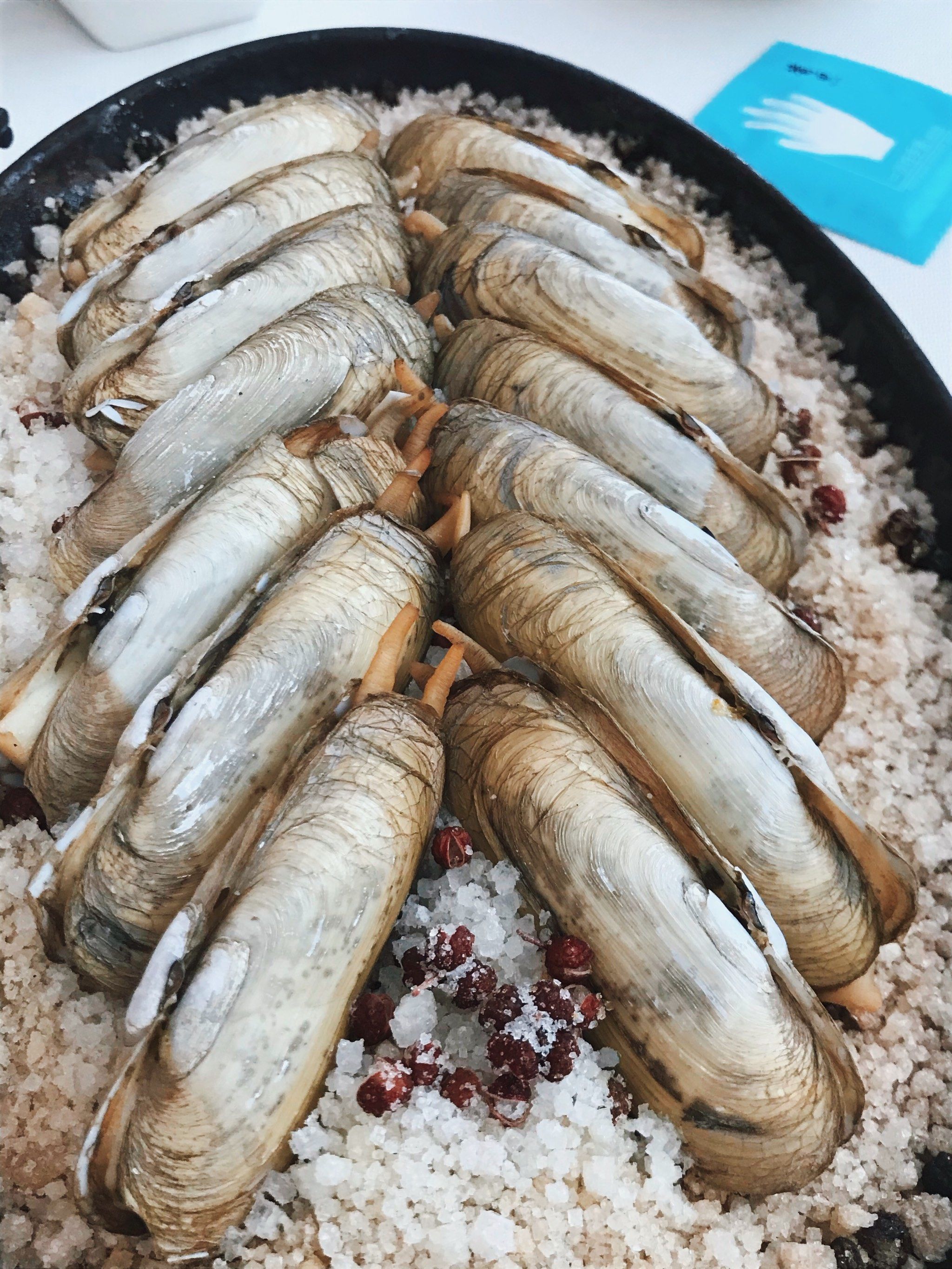 当季海鲜,又大又鲜美!