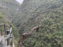 -蝶舞清江·恩施地心谷景区