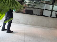 -窦四牛杂面(总店)