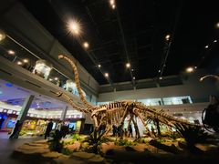 -自贡恐龙博物馆