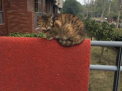 -同济大学(嘉定校区)