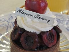 -花间烘焙BLossom Bakery