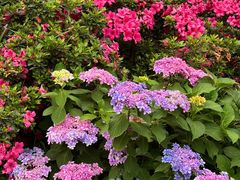 -常州古运河南大街文化旅游区-人民公园