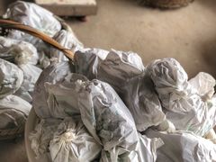 -马陆小张葡萄园农家乐