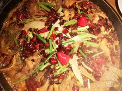 -老板恋上鱼(印象城店)