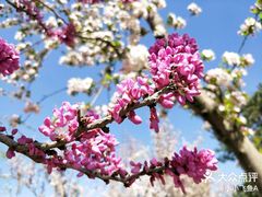 -海棠花溪(元大都城垣遗址公园)