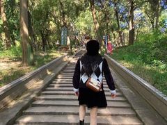 -子昂故里文化旅游区