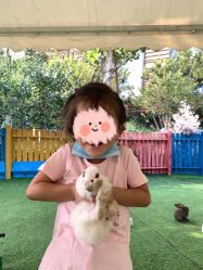 点击看大图 -萌宠亲子动物乐园(槐房万达店)