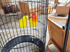 -广富林宰相府酒店·水云间
