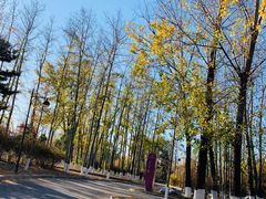 -中家鑫园温泉酒店鑫悦汤泉