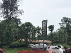 -枫香湖儿童公园