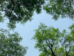 -洨河生态公园