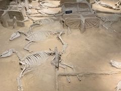 -洛阳周王城天子驾六博物馆