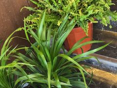 -靓湾海鲜·海景餐厅(小麦岛店)