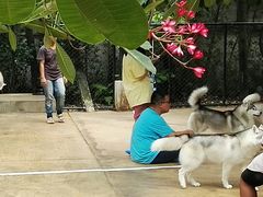 -TrueLove @ Neverland (Husky Cafe)
