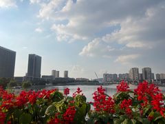 -映月湖中央公园