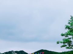 -西海岸生态观光园