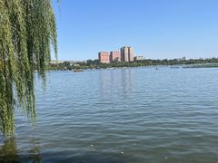 -济南大明湖景区