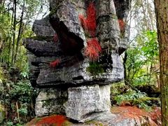 -梭布垭石林景区