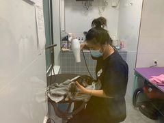 -宠颐生动物医院·心脏科·保险定点(锦阳分院)