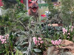 -沈阳植物园