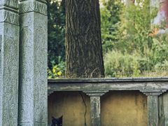 -冶父山国家森林公园