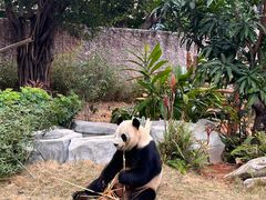-灵玲国际马戏城