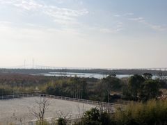 -上海崇明金茂凯悦酒店