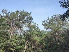 -青龙山国家森林公园