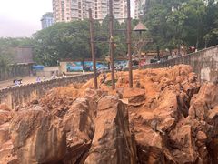 -昆明动物园