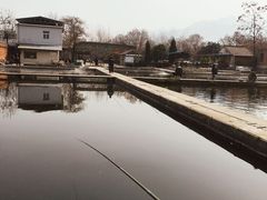 -特种渔场