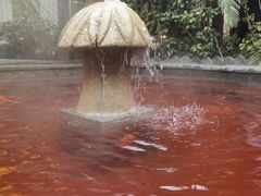 -杭州第一世界大酒店·云曼温泉