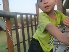 -上海长兴岛郊野公园