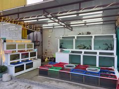 -南蚝小贝海鲜特色餐厅(南澳岛店)