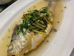 -老洋房花园饭店(绍兴路店)