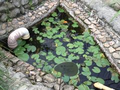 -活水公园
