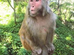 -黔灵山公园-南门售票处