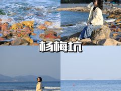 -杨梅坑